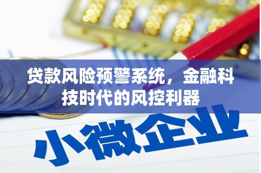 杂多贷款风险预警系统，金融科技时代的风控利器
