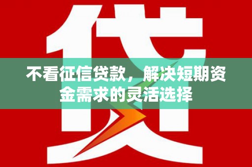海安不看征信贷款，解决短期资金需求的灵活选择