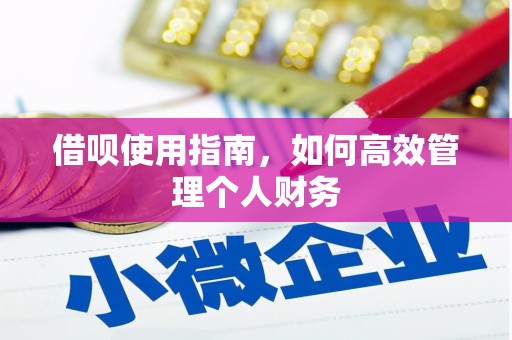 临沭借呗使用指南，如何高效管理个人财务