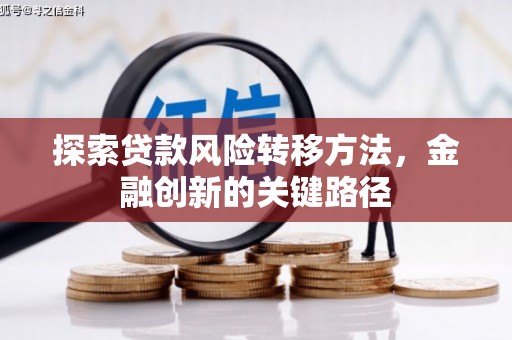 新林探索贷款风险转移方法，金融创新的关键路径