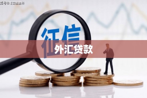莿桐外汇贷款