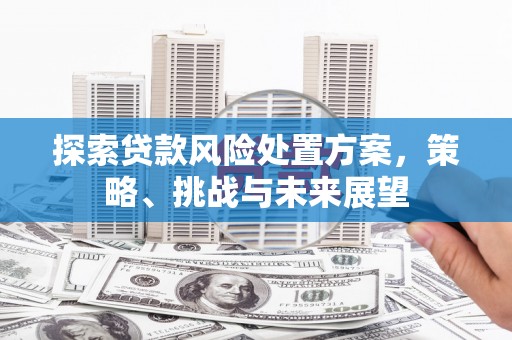 凤县探索贷款风险处置方案，策略、挑战与未来展望