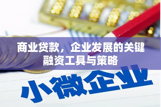 泰来商业贷款，企业发展的关键融资工具与策略