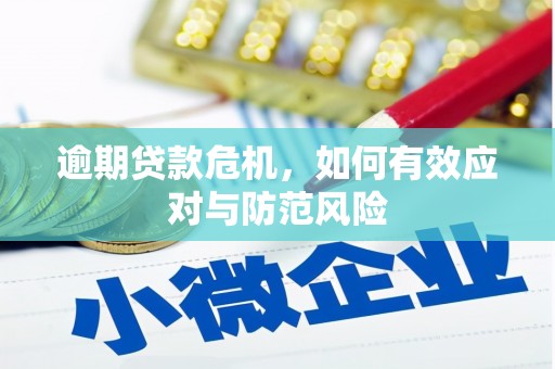 安定逾期贷款危机，如何有效应对与防范风险