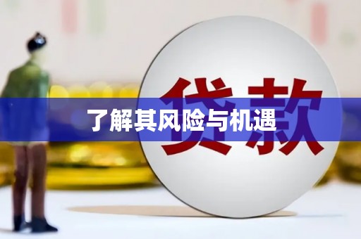 中宁了解其风险与机遇