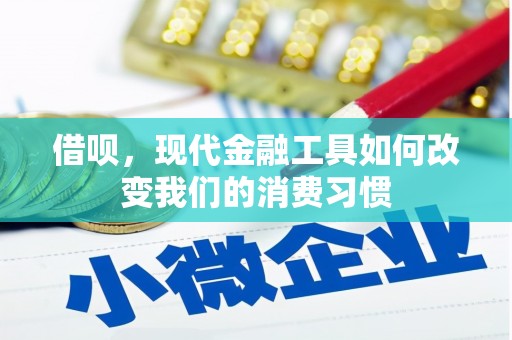 西陵借呗，现代金融工具如何改变我们的消费习惯