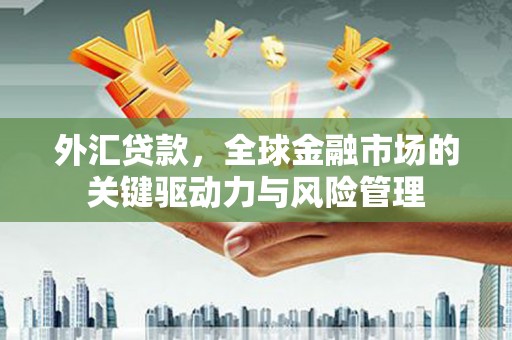 高碑店外汇贷款，全球金融市场的关键驱动力与风险管理