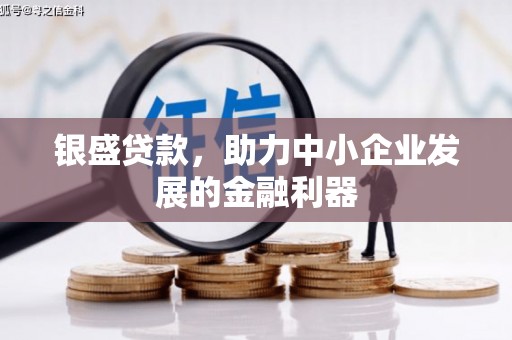 水林银盛贷款，助力中小企业发展的金融利器