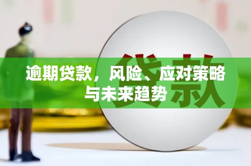 龙岗逾期贷款，风险、应对策略与未来趋势
