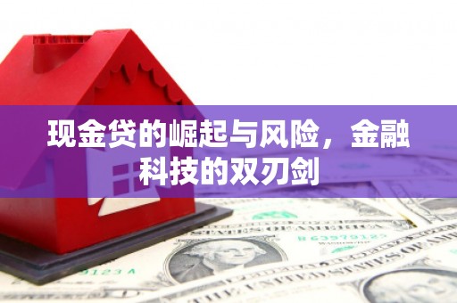 沙鹿现金贷的崛起与风险，金融科技的双刃剑