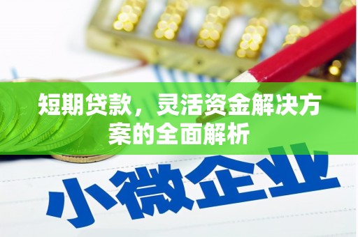 马边短期贷款，灵活资金解决方案的全面解析