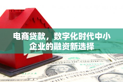洞口电商贷款，数字化时代中小企业的融资新选择