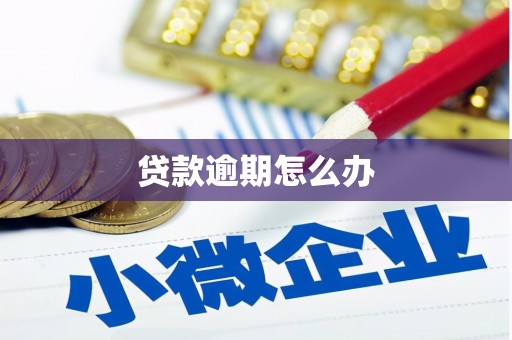 禄丰贷款逾期怎么办