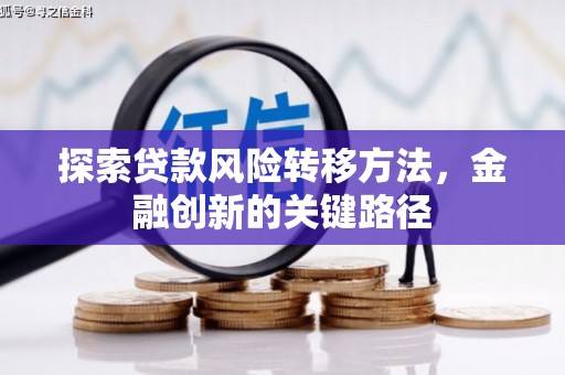 禄丰探索贷款风险转移方法，金融创新的关键路径