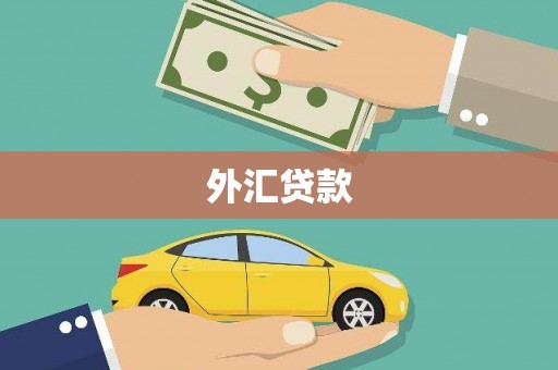 坪林外汇贷款