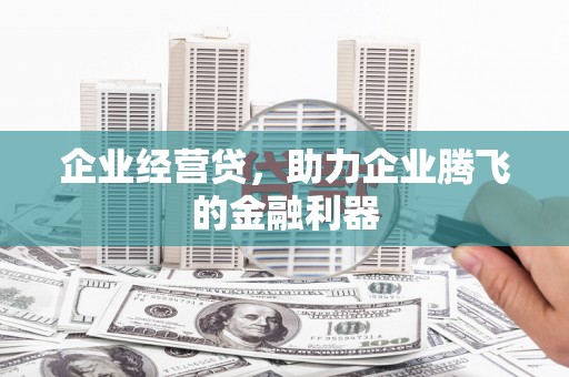 沙湾企业经营贷，助力企业腾飞的金融利器