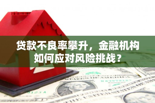 东乌旗贷款不良率攀升，金融机构如何应对风险挑战？