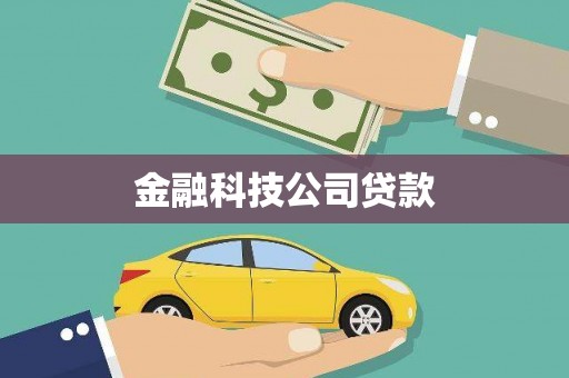 镇巴金融科技公司贷款