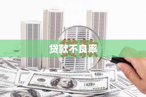 二水贷款不良率
