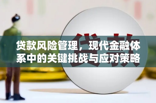 康马贷款风险管理，现代金融体系中的关键挑战与应对策略