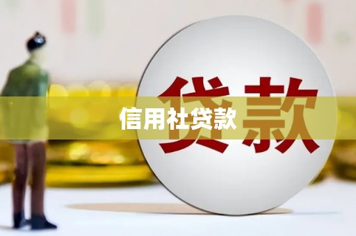 望城信用社贷款