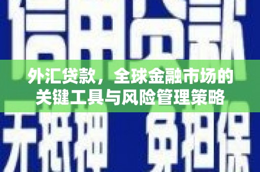 上林外汇贷款，全球金融市场的关键工具与风险管理策略