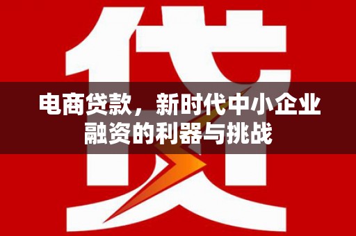 日喀则电商贷款，新时代中小企业融资的利器与挑战