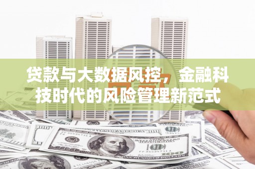施秉贷款与大数据风控，金融科技时代的风险管理新范式