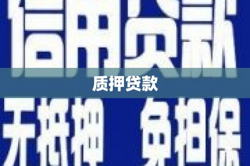 宁陵质押贷款