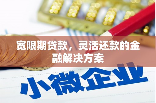 界首宽限期贷款，灵活还款的金融解决方案