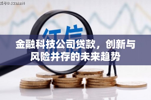 台东金融科技公司贷款，创新与风险并存的未来趋势