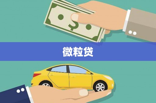 安远微粒贷