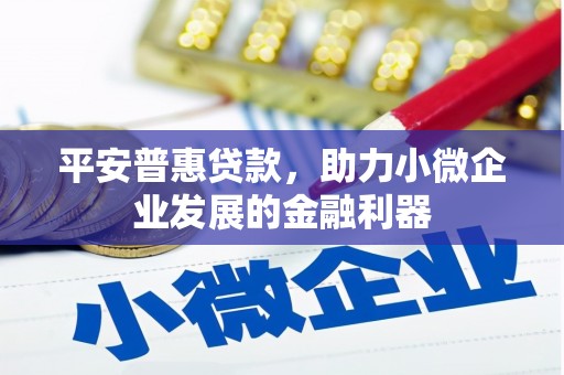 索县平安普惠贷款，助力小微企业发展的金融利器
