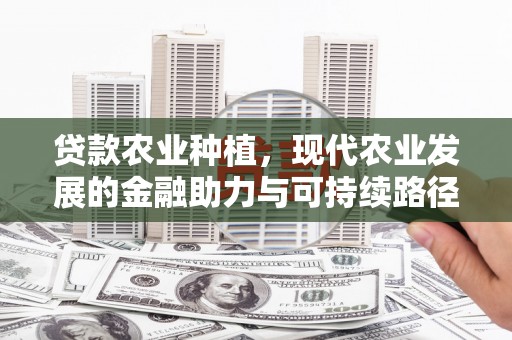 西峰贷款农业种植，现代农业发展的金融助力与可持续路径