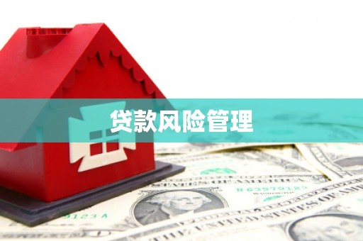 宣威贷款风险管理
