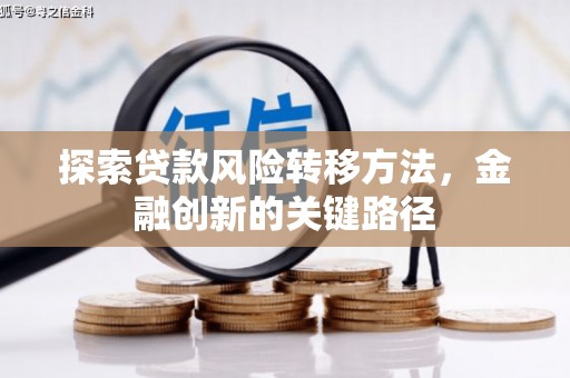 白玉探索贷款风险转移方法，金融创新的关键路径