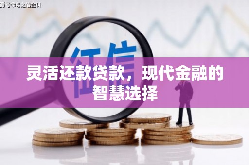 太湖灵活还款贷款，现代金融的智慧选择