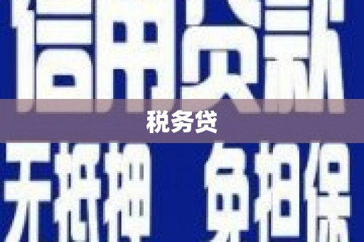 静乐税务贷