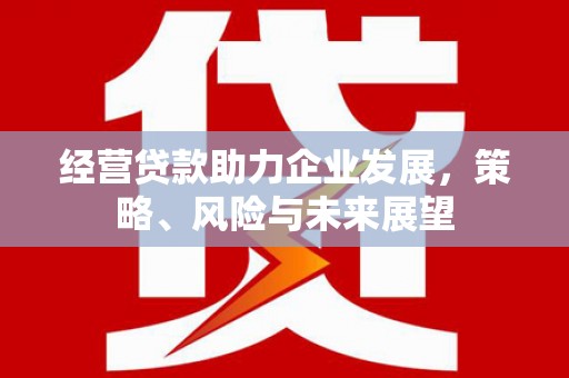苗栗经营贷款助力企业发展，策略、风险与未来展望