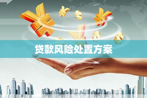 泗县贷款风险处置方案