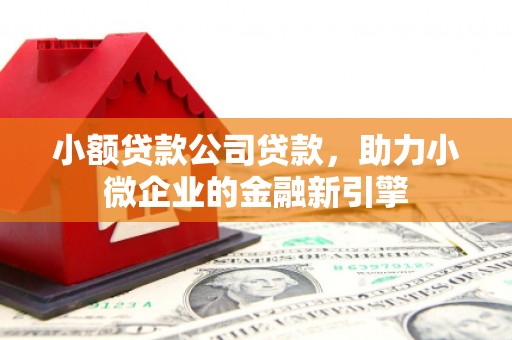 白山小额贷款公司贷款，助力小微企业的金融新引擎