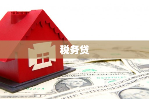 三元税务贷
