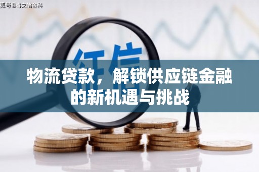 秀洲物流贷款，解锁供应链金融的新机遇与挑战