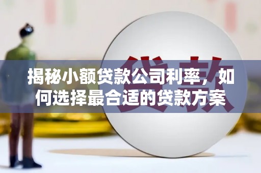 江城揭秘小额贷款公司利率，如何选择最合适的贷款方案