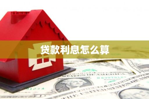新林贷款利息怎么算
