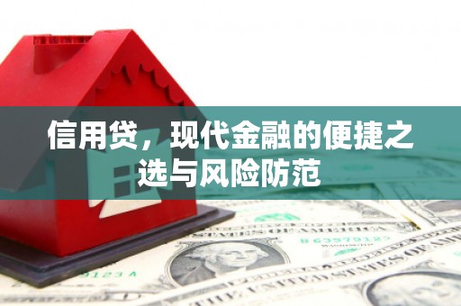 仁和信用贷，现代金融的便捷之选与风险防范
