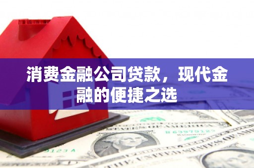 攸县消费金融公司贷款，现代金融的便捷之选