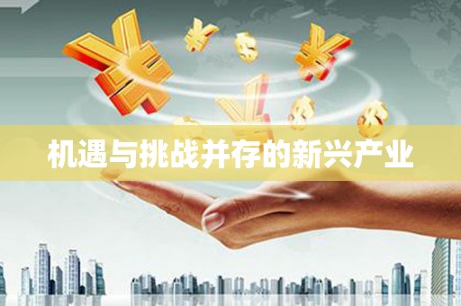 洋县机遇与挑战并存的新兴产业