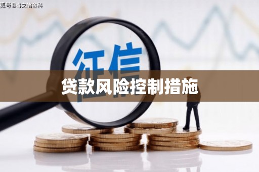 民丰贷款风险控制措施