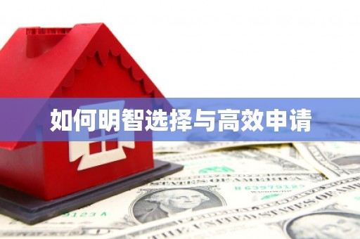 金湖如何明智选择与高效申请
